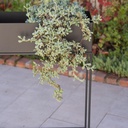 Macetero Metal Azul 55 X 20 X 70 Cm Grouw 5