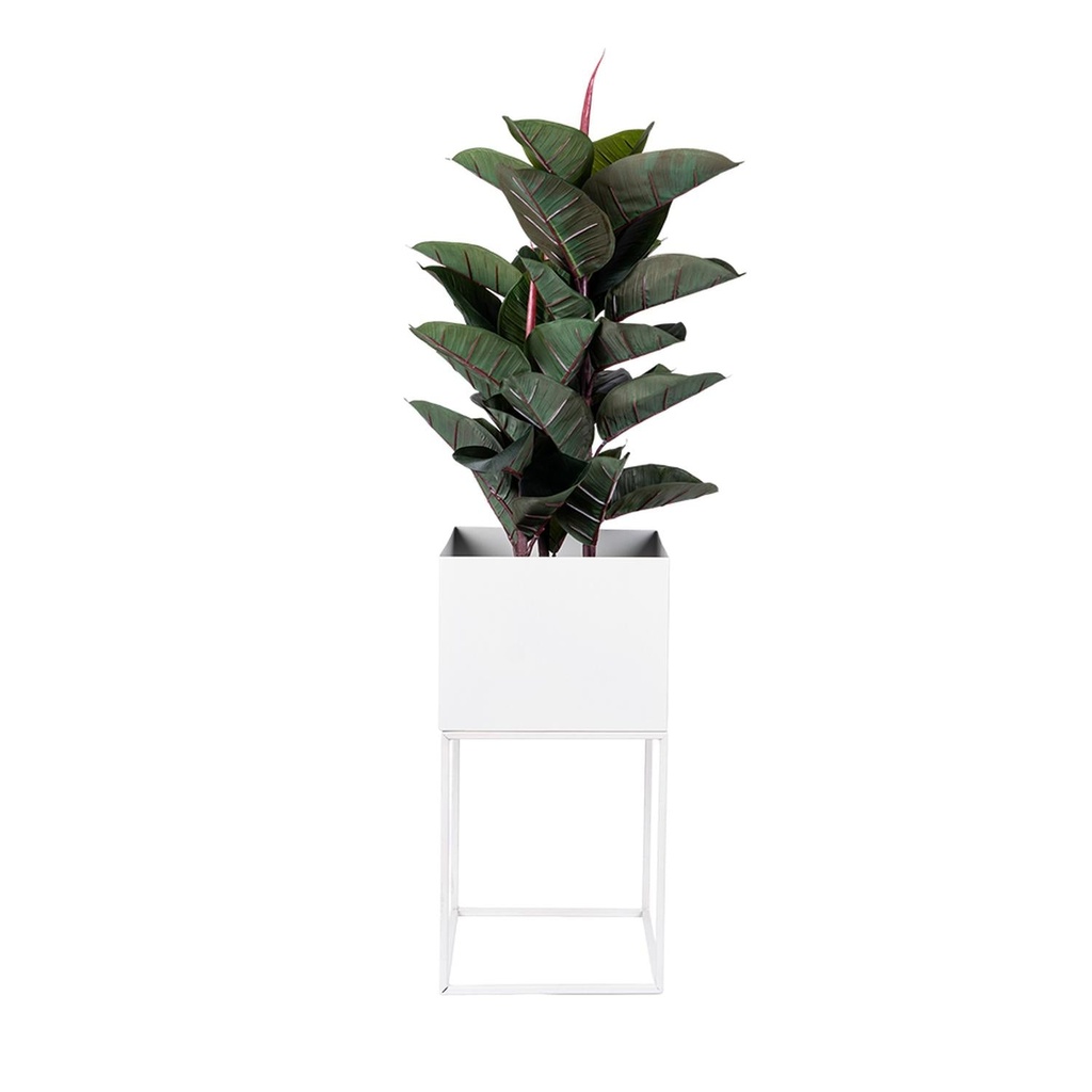 Macetero Metal Blanco 28X28X55 DAY 5