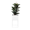 Macetero Metal Blanco 28X28X55 DAY 5