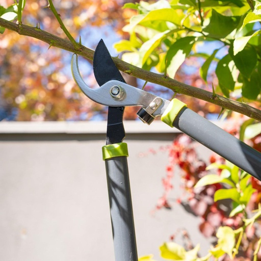 Tijera Corta ramas 60 cm Grouw