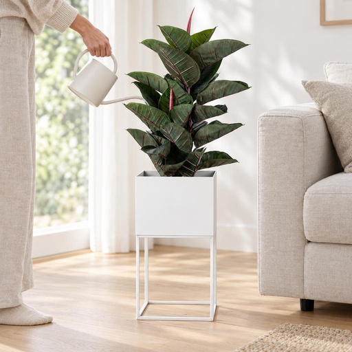 Macetero Metal Blanco 28X28X55 DAY
