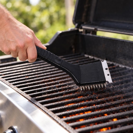 Cepillo Parrilla 20 cm DANGRILL