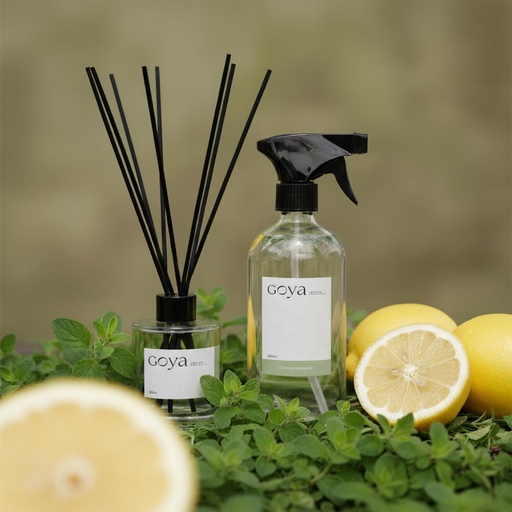 Pack Home Spray + Difusor Varitas Citron Verveine GOYA